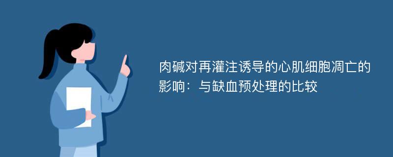 肉碱对再灌注诱导的心肌细胞凋亡的影响：与缺血预处理的比较