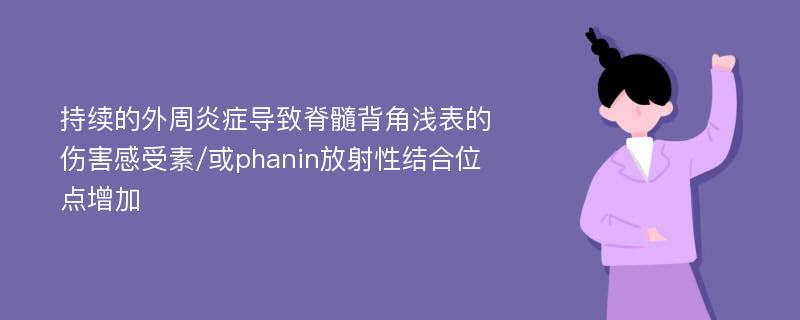 持续的外周炎症导致脊髓背角浅表的伤害感受素/或phanin放射性结合位点增加