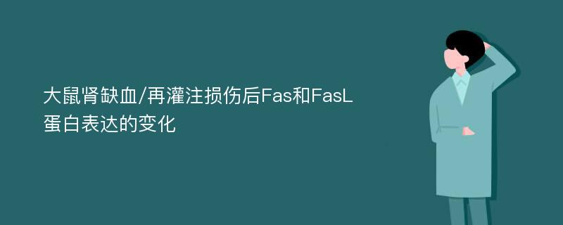 大鼠肾缺血/再灌注损伤后Fas和FasL蛋白表达的变化