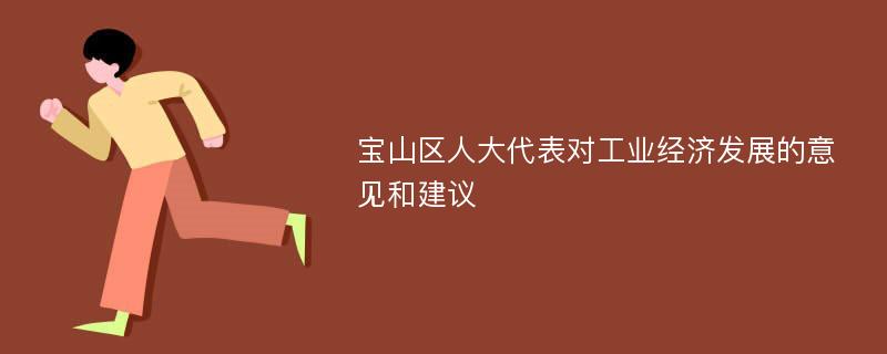 宝山区人大代表对工业经济发展的意见和建议