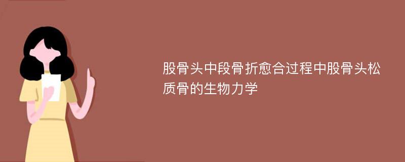 股骨头中段骨折愈合过程中股骨头松质骨的生物力学