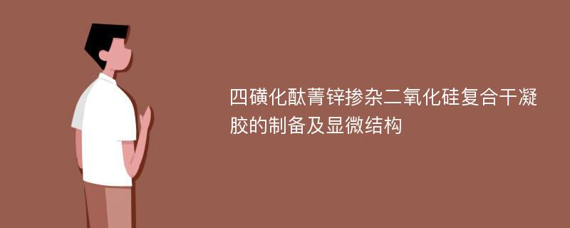 四磺化酞菁锌掺杂二氧化硅复合干凝胶的制备及显微结构