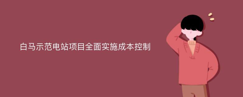 白马示范电站项目全面实施成本控制