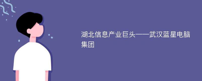 湖北信息产业巨头——武汉蓝星电脑集团