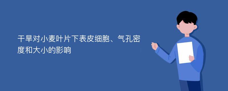 干旱对小麦叶片下表皮细胞、气孔密度和大小的影响