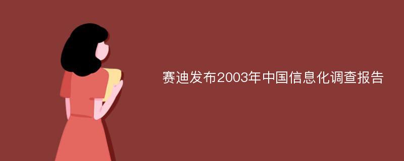 赛迪发布2003年中国信息化调查报告